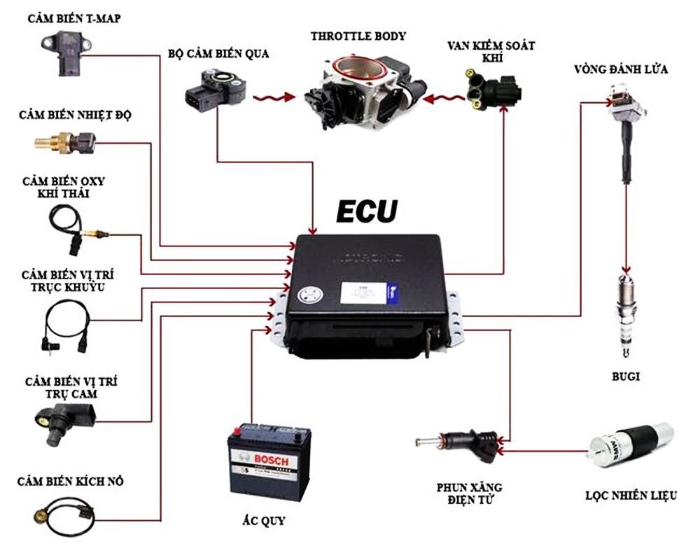ECU là hệ thống điều khiển điện tử trung tâm của xe ô tô