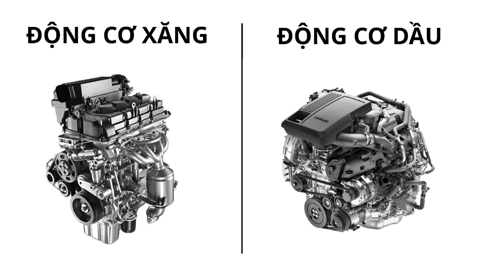 Thành phần và phụ gia trong dầu máy xăng và máy dầu có sự khác biệt rõ rệt